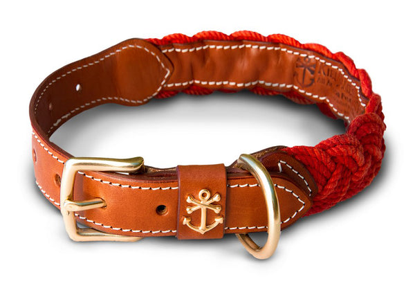 Narragansett Lifeguard Dog Collar